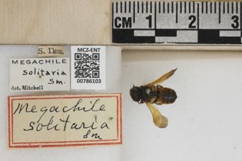 Media type: image;   Entomology 786103 Aspect: Labels